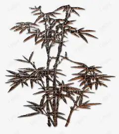 测试一个超长简介的文章