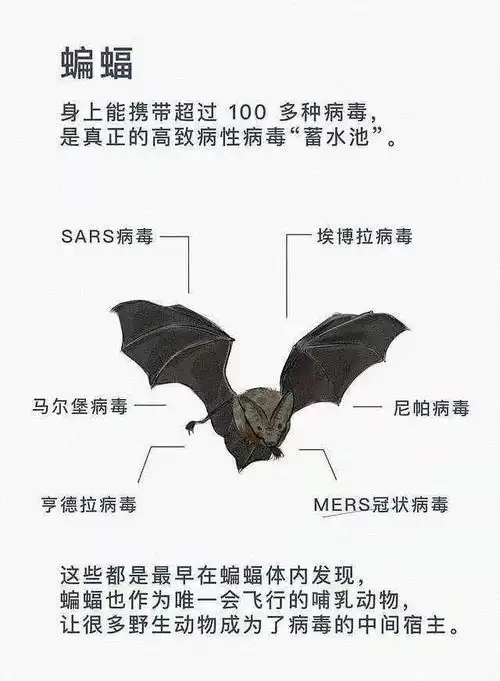 90的致死率太恐怖染上它的人会在你面前融化