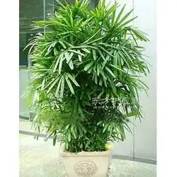 年终纪念品学术论坛交流会纪念品董事会礼品图片