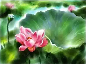 一念心清静莲花处处开