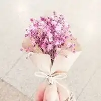 最好看的微信花朵头像淡雅微信头像图片大全
