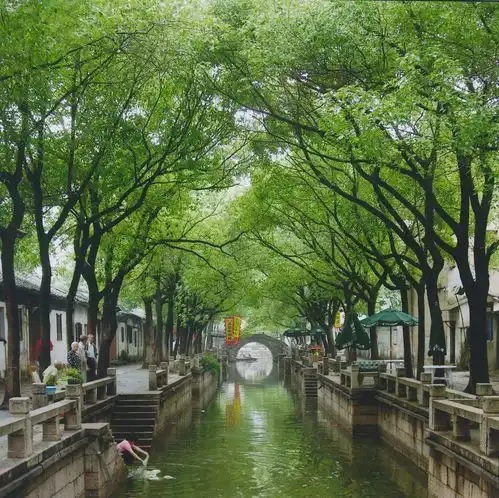 杨柳风不寒,同里满地春组合拳助力同里旅游热起来