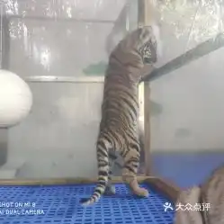 电话,地址,价格,营业时间上海周边游