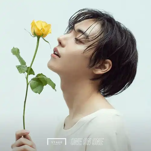 kpop高颜值明星男生篇