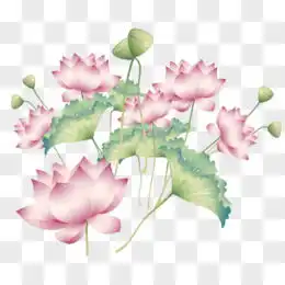 佛教莲花图片素材免费佛教莲花png设计图片大全图精灵