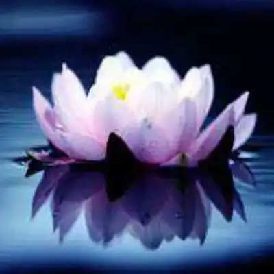 测试一个超长简介的文章