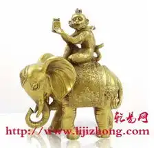 案例调理