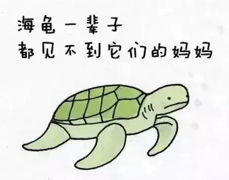 30个滑稽呆萌的动物冷知识,大人孩子一起涨姿势吧
