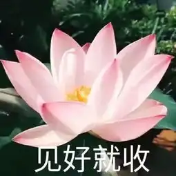 如何快速解决爸妈逼你换微信头像