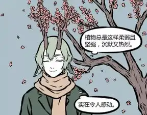 这些国产泡面番不容错过太好看了