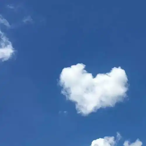 测试一个超长简介的文章