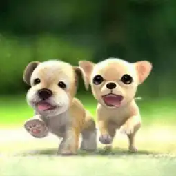 粉丝