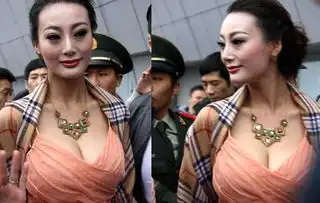 求一路向西在线观看