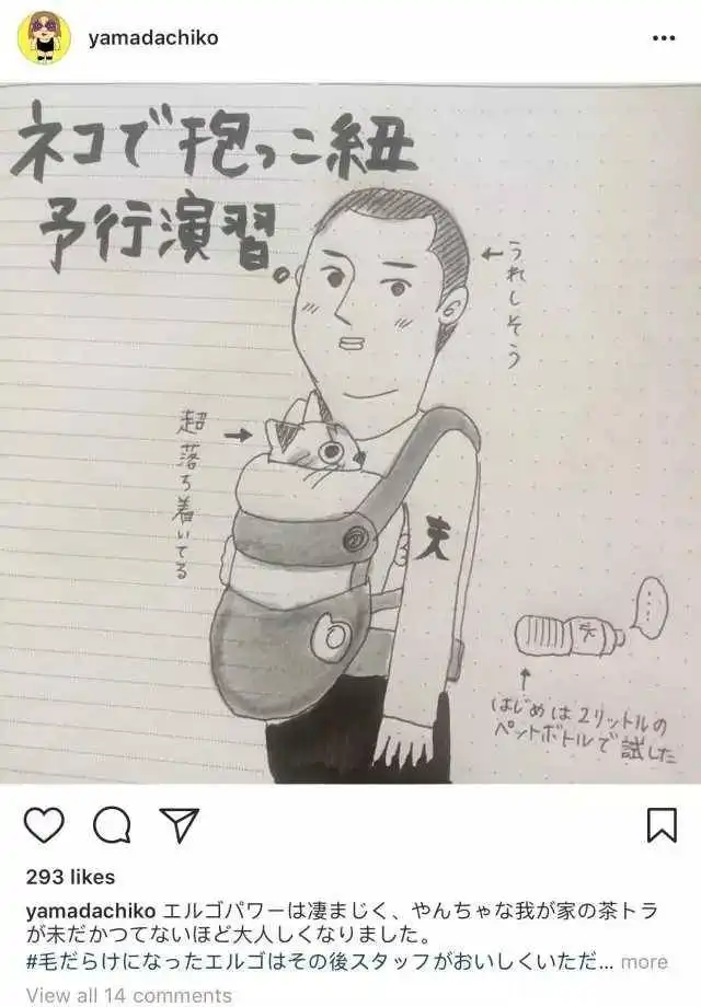 一位日本家庭主妇将自己怀孕育儿的体验画成了小漫画
