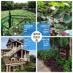 三亚共享农庄海南荷花生态园民宿共享农庄合作高清图片高清大图