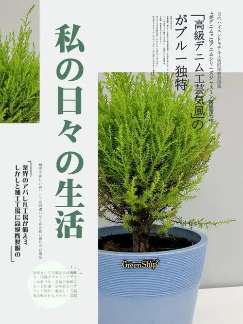 疫情卷土重来,居家隔离也要做个好心情园丁