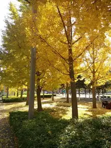 梳理北京的aaaaa景区