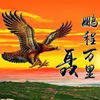 测试一个超长简介的文章