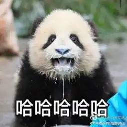 脑子进咸鱼了照片脑子进咸鱼了相册大全yy官方