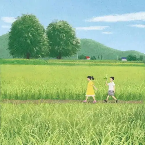 头像美图壁纸,绿意盎然的地方