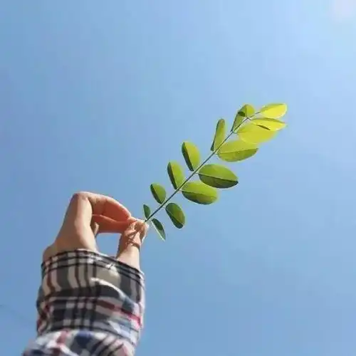 测试一个超长简介的文章