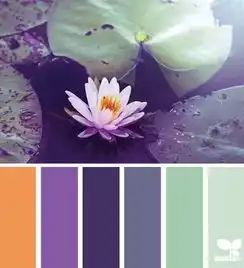 荷花里见时尚
