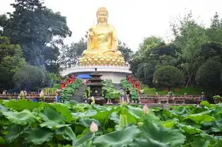 华岩寺第六届荷花展开幕邀你赏花消夏
