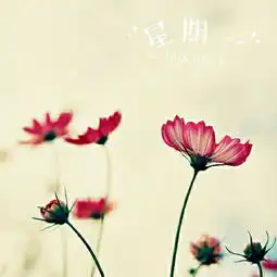 测试一个超长简介的文章