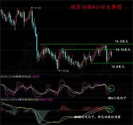 岳艺言1.3新年大非农前金银筑底反弹现货黄金白银操作建议,多空单被套怎么办