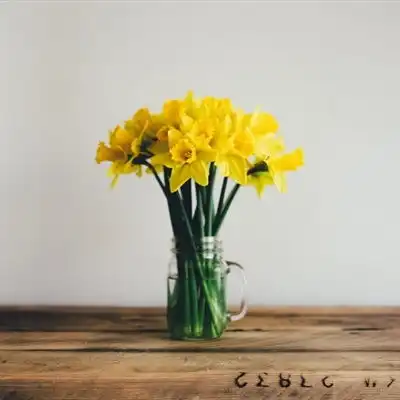 白色和黄色的水仙花qq微信头像图片