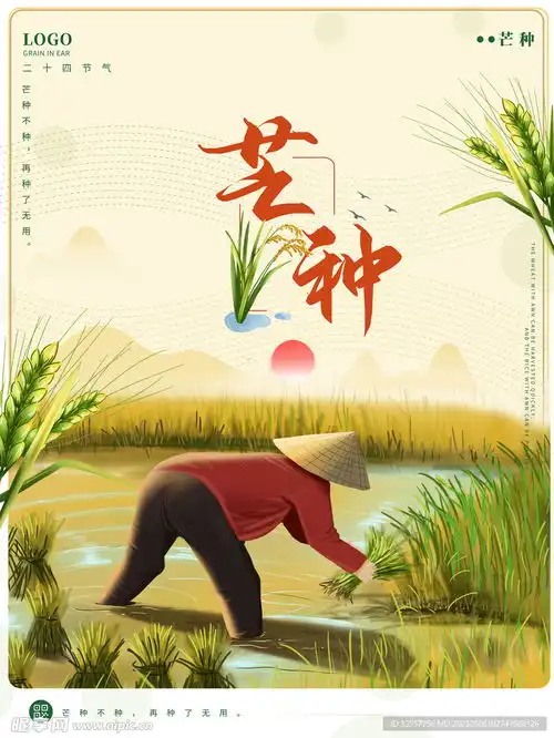 芒种插秧海报设计图