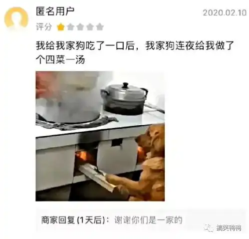 那些搞笑的外卖差评,哈哈哈太逗了,差点笑出鹅叫