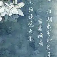 淡雅唯美古风意境头像微信头像图片大全