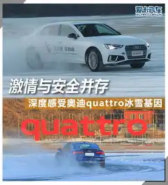 图文激情安全并存感受奥迪quattro冰雪基因
