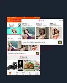 手机淘宝直播平台正式上线消费类直播八成用户为女性