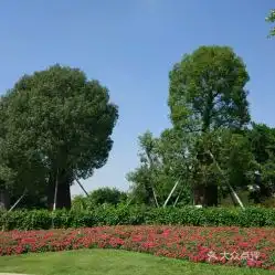 电话地址价格营业时间南湖公园景点团购南宁周边游