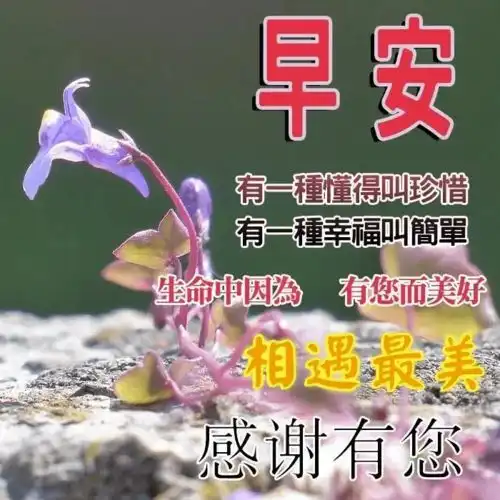 有一种祝福收到就心花灿烂,愿朋友快乐,早安