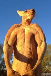 澳巨型袋鼠秀肌肉身高超两米能手撕铁桶
