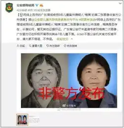 找梅姨更要防梅姨