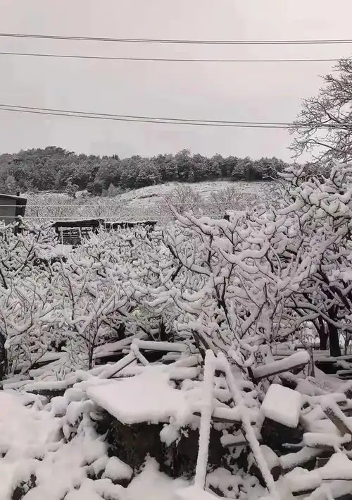 美爆了,攀枝花2022年第一场雪刷爆朋友圈