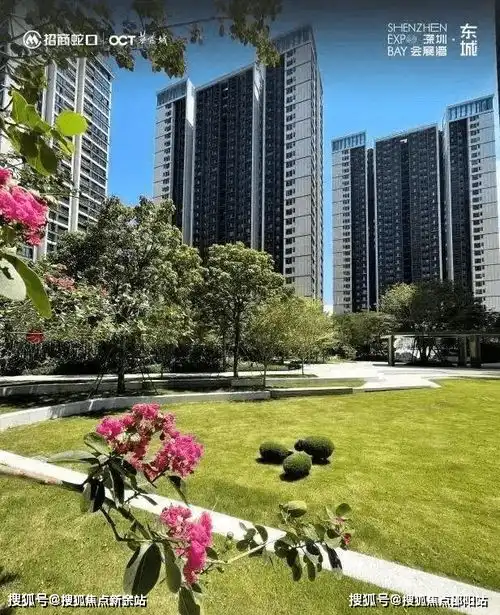 会展湾东城售楼处24小时电话深圳会展湾东城售楼中心首页网站楼盘详情