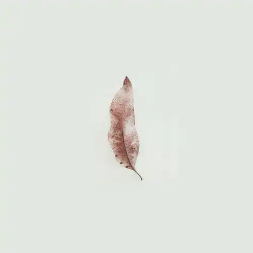 有没有像这样的头像极简孤独