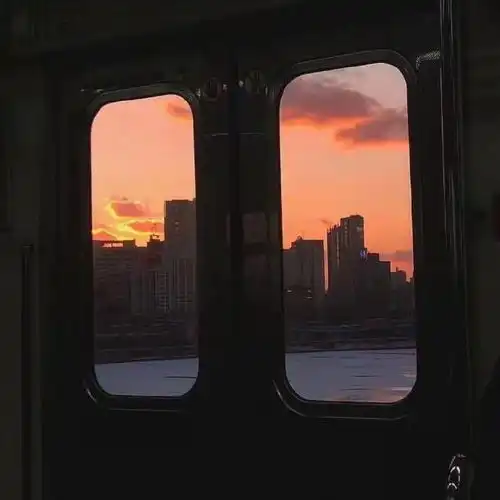 七夕单身狗文案