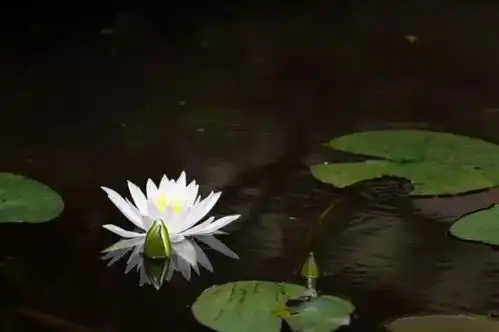 学了那么久摄影,还不知道测光是什么