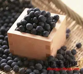 女性冬季滋补多吃深色食物补血抗衰老2