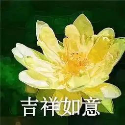 今晚,和爸妈聊聊保健食品那些事