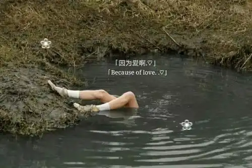 网易云热评有些人坐飞机就能见到,有些人要坐时光机才能见到