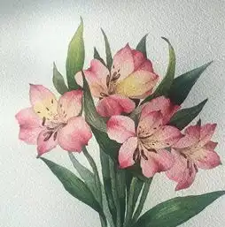 她的水彩花卉画的很美,让人看了有种初恋的感觉