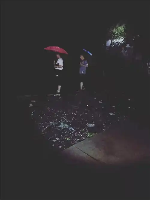防汛救灾中他让党徽熠熠生辉洛南县市场监管局驻保安镇三义村第一书记李建玲抗洪救灾纪实