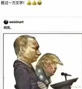 看见乌军就举白旗,鹅军突击队投降,理由扎心特朗普提出新的和平计划